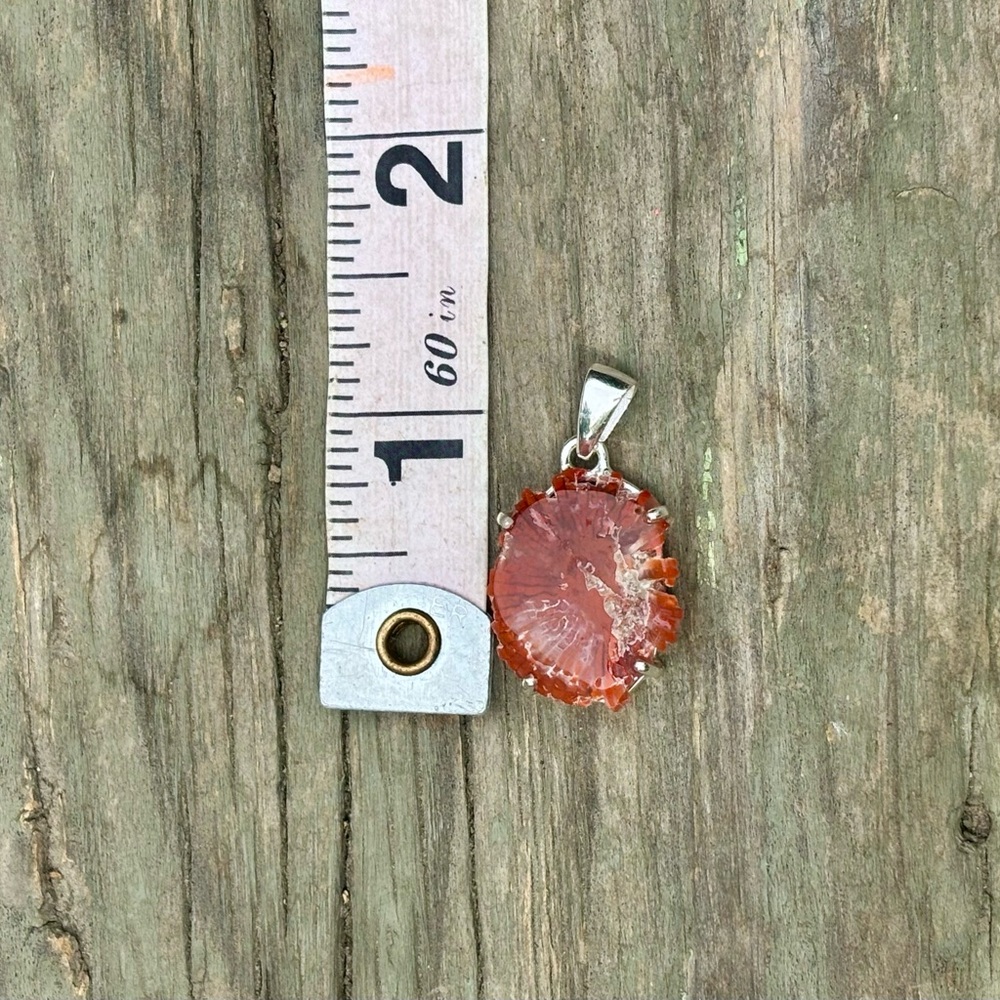 Red Horn Coral Necklace - Picture 10 of 11